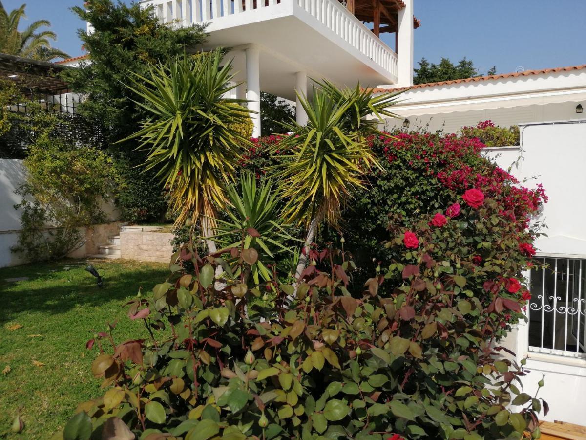 Eleftheria Sea House Sounion Bagian luar foto